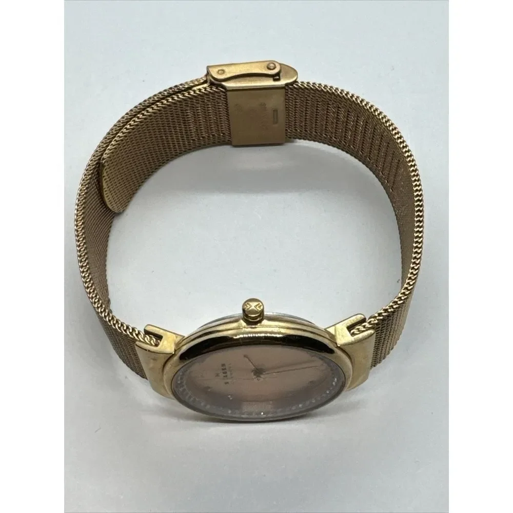 Unbranded skagen skw2253